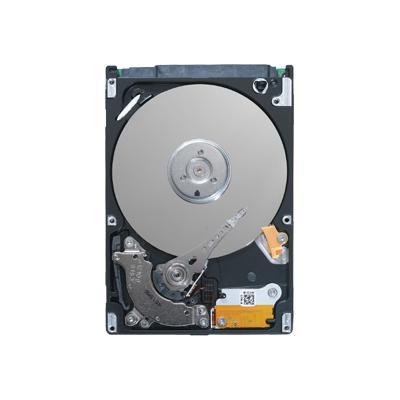 EE25.2 Series ST980818AM - hard drive - 80 GB - IDE/ATA