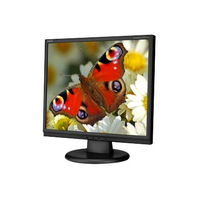 17 AccuSync LCD Monitor