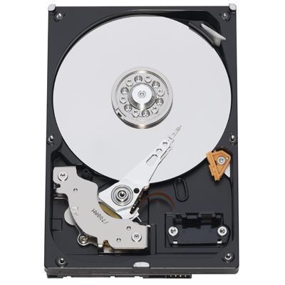 WD AV WD3200AVJS - hard drive - 320 GB - SATA-300