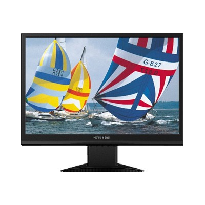19 Widescreen LCD Monitor