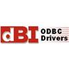 dBI ODBC Drivers