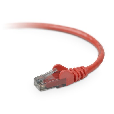 Belkin A3L980 08 RED S High Performance Patch cable RJ 45 M to RJ 45 M 8 ft UTP CAT 6 molded snagless red for Omniview SMB 1x16 SMB 1x8 O