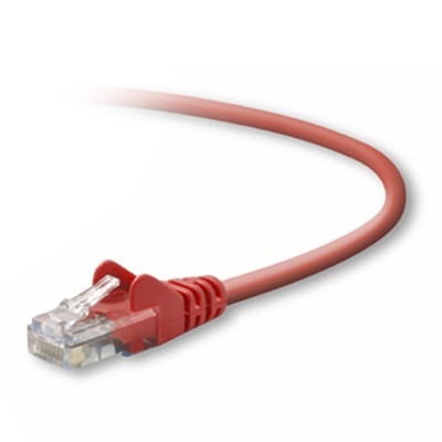 Belkin A3L791 05 RED S Patch cable RJ 45 M RJ 45 M 5 ft UTP CAT 5e molded snagless red B2B for Omniview SMB 1x16 SMB 1x8 OmniView IP 50