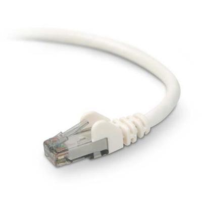 Belkin A3L980 01 WHT S High Performance Patch cable RJ 45 M to RJ 45 M 1 ft UTP CAT 6 molded snagless white B2B for Omniview SMB 1x16 SM