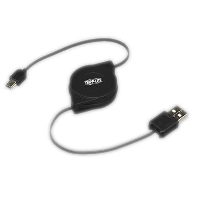 Item Picture