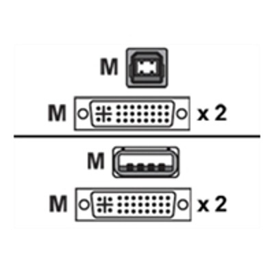 Avocent CBL0048 Video USB cable 4 pin USB Type B DVI I M to USB DVI I M 6 ft
