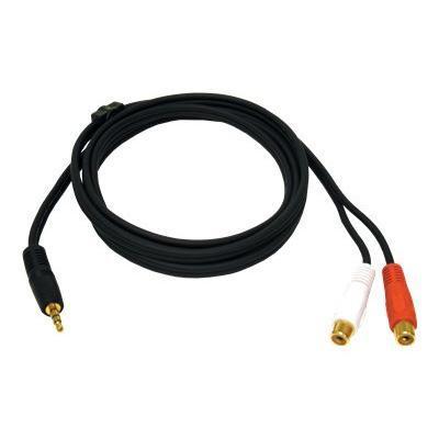 Cables To Go 40425 Value Series Audio Y Adapter Cable Audio adapter mini jack M to RCA F 6 ft shielded black