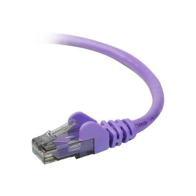 Belkin A3L980 06 PUR S High Performance Patch cable RJ 45 M to RJ 45 M 6 ft UTP CAT 6 molded snagless purple for Omniview SMB 1x16 SMB 1x8