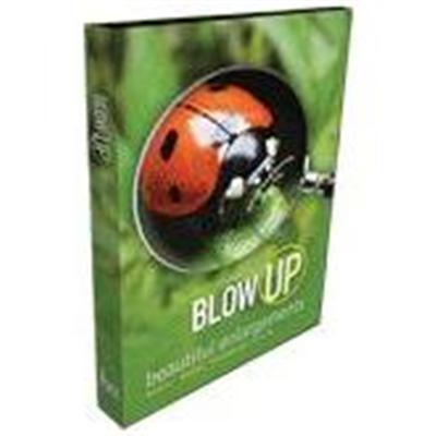 Blow Up 2 Is A Photoshop Plug-in That Produces Enlargements Dramatically Sharper Than Any Other Software  Especially Photoshop! Picture