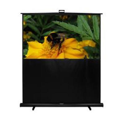 Panoview Portable Lift DP-MW9080A - projection screen - 80 in ( 203 cm )