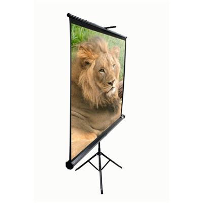Tripod Series T120NWV1 - projection screen with tripod - 120 in ( 305 cm )