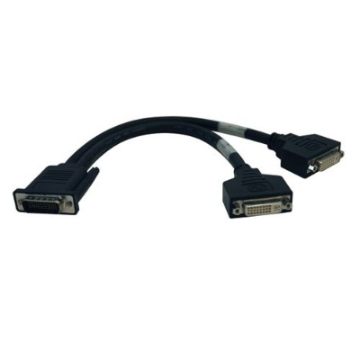 DVI splitter - 1 ft