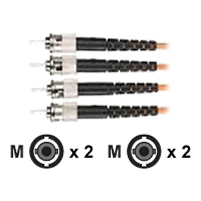 Black Box EFN110-010M-STST Premium - Patch cable - ST multi-mode (M) to ST multi-mode (M) - 33 ft - fiber optic - 62.5 / 125 micron - riser - for CAT5e GigaTru Black Box EFN110-010M-STST Premium - Patch cable - ST multi-mode (M) to ST multi-mode (M) - 33 ft - fiber optic - 62.5 / 125 micron - riser - for CAT5e GigaTru
