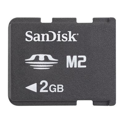 Flash memory card - 2 GB - Memory Stick Micro (M2)
