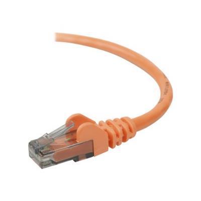 Belkin A3L980 01 ORG S High Performance Patch cable RJ 45 M to RJ 45 M 1 ft UTP CAT 6 molded snagless orange for Omniview SMB 1x16 SMB 1x8