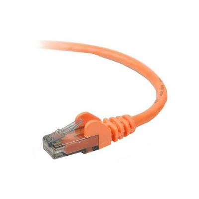 Belkin A3L980 06 ORG S High Performance Patch cable RJ 45 M to RJ 45 M 6 ft UTP CAT 6 molded snagless orange for Omniview SMB 1x16 SMB 1x8
