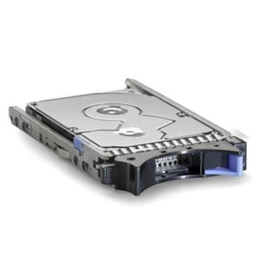 hard drive - 300 GB - SAS-2