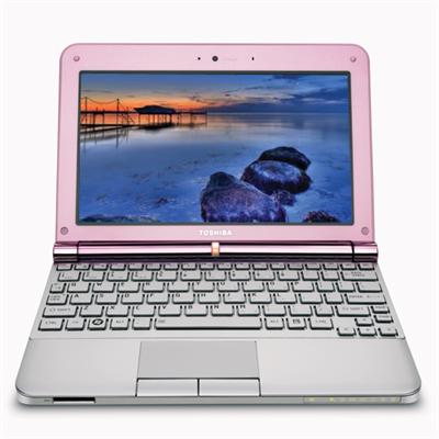 NB205 N313P Intel Atom N280 166GHz Mini Notebook 1GB RAM 160GB HD 101 WSVGA LED backlight Fast Ethernet 80211bg Webcam 6 cell Li Ion Posh Pink