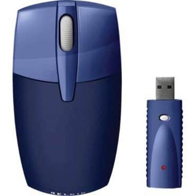 Wireless Travel Mouse mouse