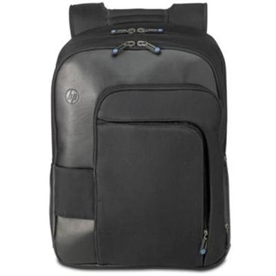 Professional Series notebook carrying backpack