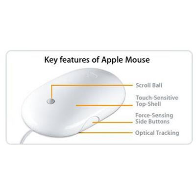 Apple - Mouse - optical - wired - USB - for MacBook Pro