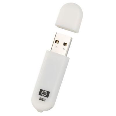 8GB HI-SPEED USB FLASH DRIVE
