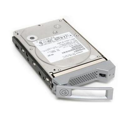 G-SPEED-eS 1TB Spare Module (3.5 SATA II 7 200RPM)