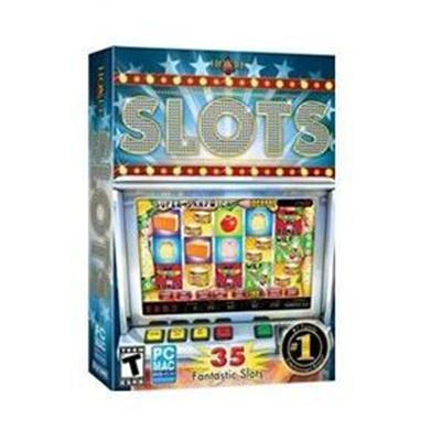Hoyle Slots 2011 Casual Gaming