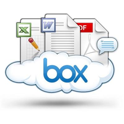 Box.net BOX BUSINESS Business Edition 1 Year Subscription