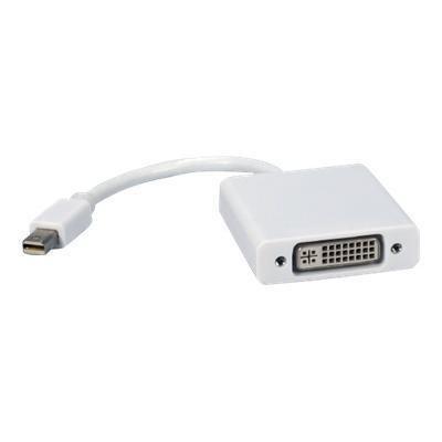 DisplayPort adapter