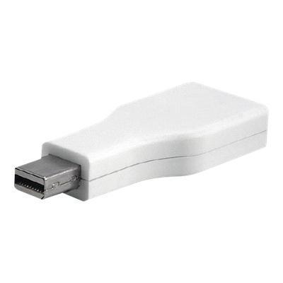 DisplayPort adapter