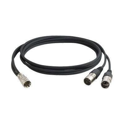 RapidRun Double XLR (Male) Balanced Audio Flying Lead - video / audio cable - 6 ft
