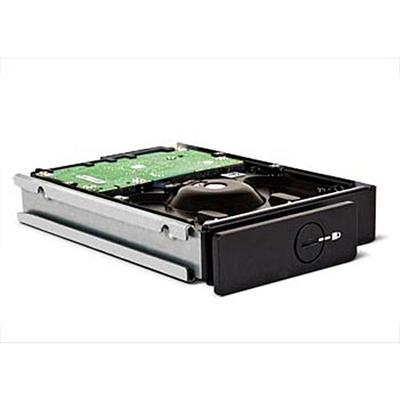4big Spare Drive - hard drive - 3 TB - SATA-300