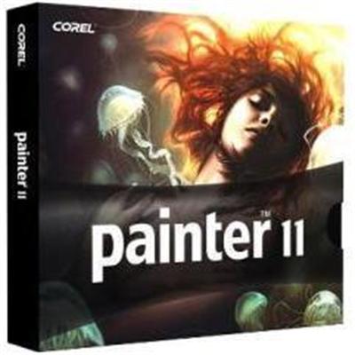 11 Painter