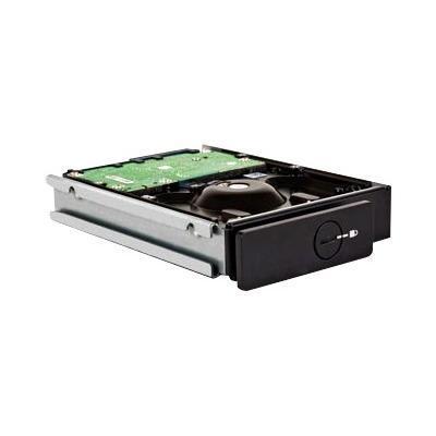 5big Spare Drive - hard drive - 1 TB - SATA-300