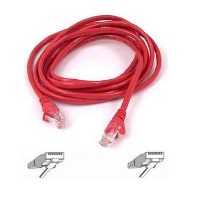 Belkin A7L704 1000 RED Bulk cable 1000 ft UTP CAT 6 solid red