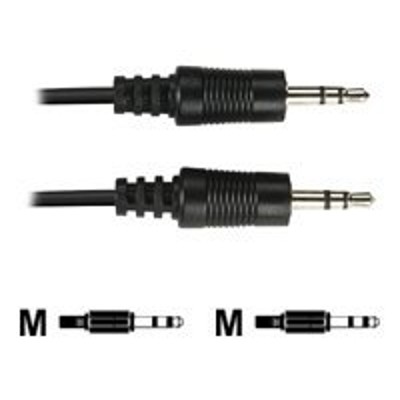 Black Box EJ110-0002 Audio cable - stereo mini jack (M) to stereo mini jack (M) - 2 ft - molded