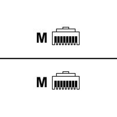 Black Box ETNMR01-0010 T1 cable - RJ-48C (M) to RJ-48C (M) - 10 ft - shielded - solid - gray Black Box ETNMR01-0010 T1 cable - RJ-48C (M) to RJ-48C (M) - 10 ft - shielded - solid - gray