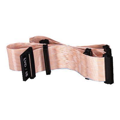 Internal Ultra3 Ribbon Cable with Crimp-On LVD Terminator - SCSI internal cable - 5 ft