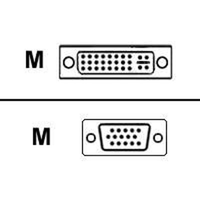 Black Box EVNDVI01 0010 Video cable DVI I M to HD 15 M 10 ft