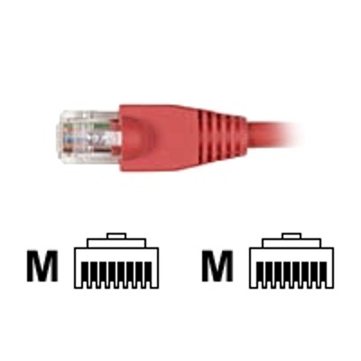 Black Box EVNSL643 0001 25PAK GigaTrue Patch cable RJ 45 M to RJ 45 M 1 ft CAT 6 stranded snagless booted red pack of 25