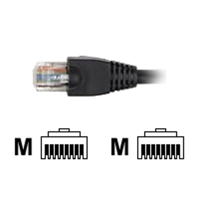 Black Box EVNSL647 0100 25PAK GigaTrue Patch cable RJ 45 M to RJ 45 M 100 ft CAT 6 stranded snagless booted pack of 25