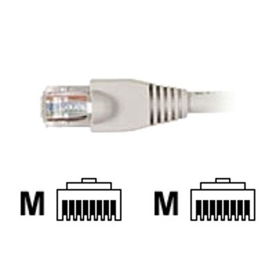 Black Box EVNSL645 0001 25PAK GigaTrue Patch cable RJ 45 M to RJ 45 M 1 ft CAT 6 stranded snagless booted beige pack of 25