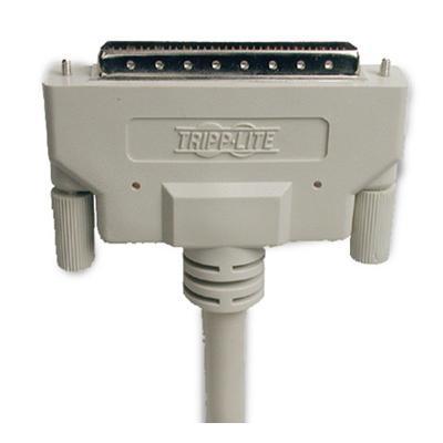 SCSI external cable - 6 ft