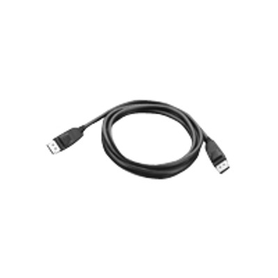 Lenovo 0a36537 Displayport Cable - Displayport (m) - Displayport (m) - 6 Ft - For Thinkcentre M78  Thinkstation E31  E32  Thinkvision Lt1952  Lt2252  Lt2452