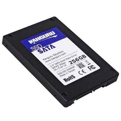 Solid state drive - 256 GB