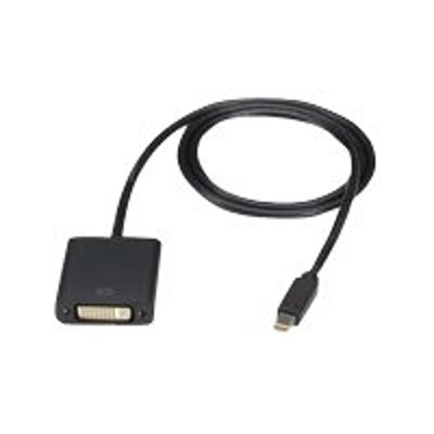 Black Box ENVMDPDVI 0010 MF DisplayPort cable Mini DisplayPort M to DVI I F 10 ft DisplayPort 1.1