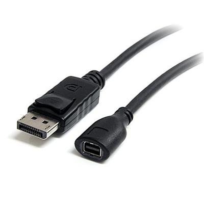DisplayPort to Mini DisplayPort Video Cable Adapter - DisplayPort adapter - 3 ft