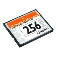 256MB CompactFlash card