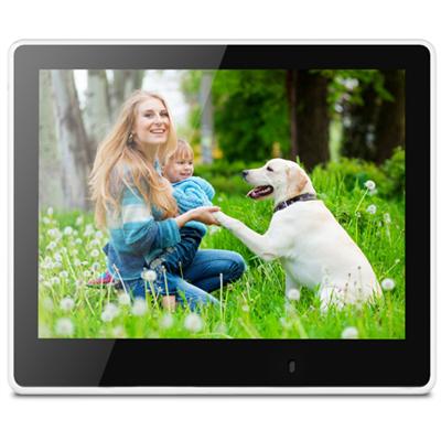 Viewsonic Vfm820-50 Vfm820-50 - Digital Photo Frame